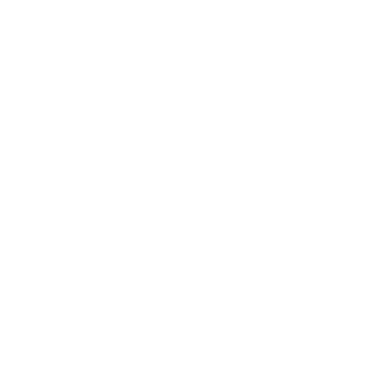PacketStats Icon